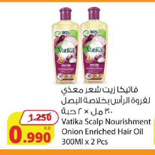 Onion available at شركة المنتجات الزراعية الغذائية in الكويت - محافظة الجهراء