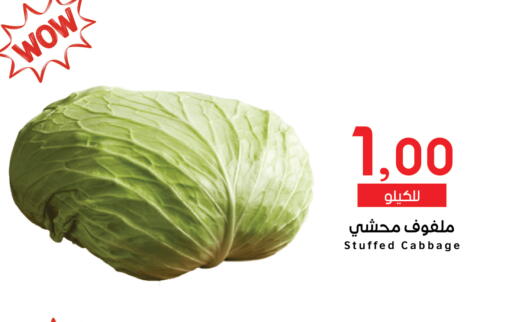 Cabbage available at ميم سوق in مملكة العربية السعودية, السعودية, سعودية - الرياض