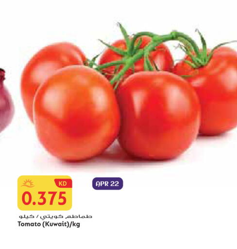 Tomato from Kuwait available at جراند هايبر in الكويت - محافظة الجهراء