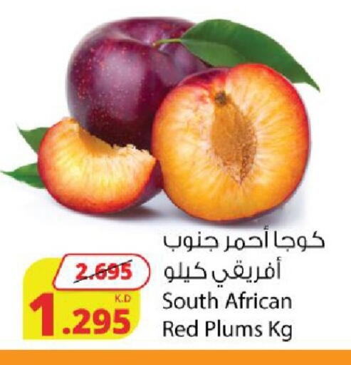 Plums from South Africa available at شركة المنتجات الزراعية الغذائية in الكويت - محافظة الجهراء