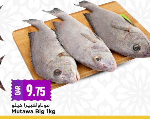 available at Marza Hypermarket in Qatar - Al Rayyan