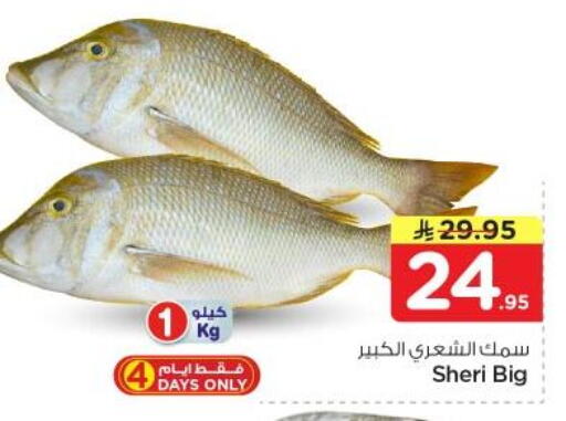 available at نستو in مملكة العربية السعودية, السعودية, سعودية - الرياض