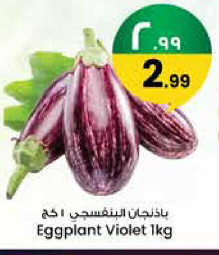 Eggplant available at City Flower in KSA, Saudi Arabia, Saudi - Najran
