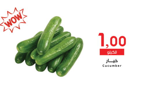 Cucumber available at ميم سوق in مملكة العربية السعودية, السعودية, سعودية - الرياض