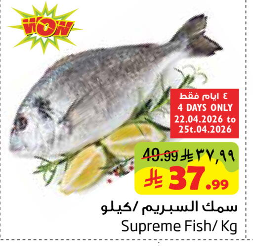 available at ليان هايبر in مملكة العربية السعودية, السعودية, سعودية - المنطقة الشرقية