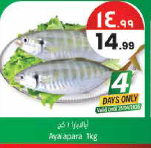 available at City Flower in KSA, Saudi Arabia, Saudi - Jubail