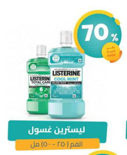 Mint available at صيدلية المتحدة in مملكة العربية السعودية, السعودية, سعودية - القطيف‎