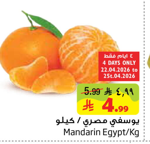 Mandarin from Egypt available at ليان هايبر in مملكة العربية السعودية, السعودية, سعودية - المنطقة الشرقية