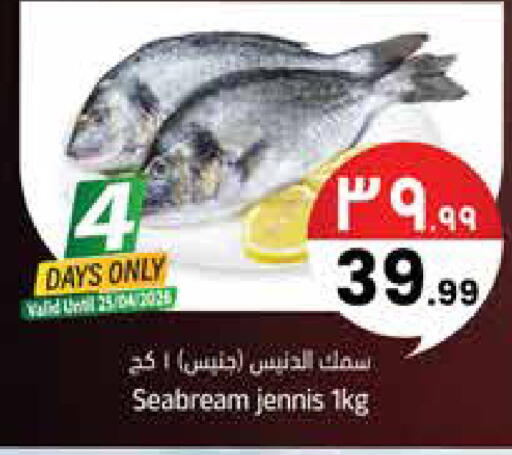 available at ستي فلاور in مملكة العربية السعودية, السعودية, سعودية - سكاكا