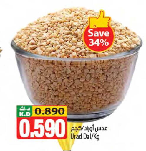 Mango available at مانجو هايبرماركت in الكويت - محافظة الجهراء