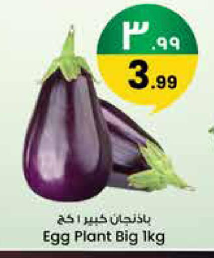 available at ستي فلاور in مملكة العربية السعودية, السعودية, سعودية - سكاكا