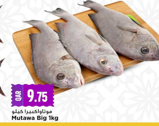 available at Marza Hypermarket in Qatar - Al Rayyan