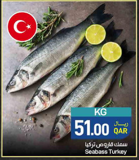 available at ســبــار in قطر - أم صلال