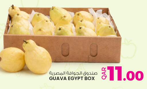 Guava from Egypt available at أنصار جاليري in قطر - الريان