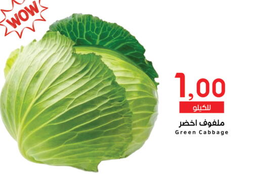 Cabbage available at ميم سوق in مملكة العربية السعودية, السعودية, سعودية - الرياض