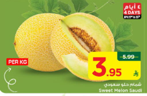 Melon from Saudi Arabia available at مارك & سيف in مملكة العربية السعودية, السعودية, سعودية - الأحساء‎