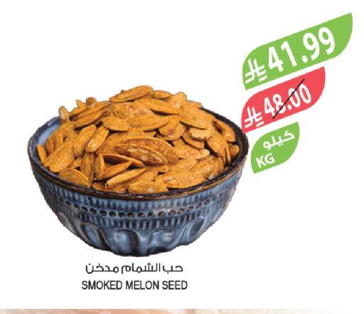 Melon available at المزرعة in مملكة العربية السعودية, السعودية, سعودية - أبها