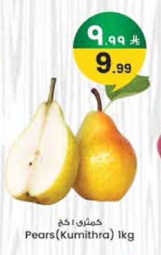 available at ستي فلاور in مملكة العربية السعودية, السعودية, سعودية - حائل‎