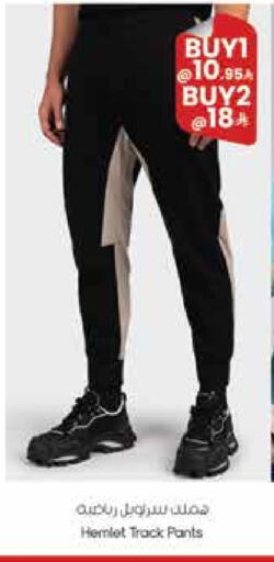 available at ستي فلاور in مملكة العربية السعودية, السعودية, سعودية - حائل‎