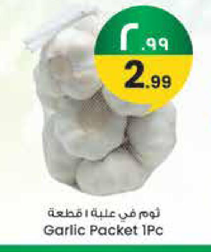 Garlic available at City Flower in KSA, Saudi Arabia, Saudi - Jubail