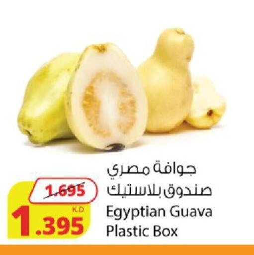 Guava from Egypt available at شركة المنتجات الزراعية الغذائية in الكويت - محافظة الجهراء