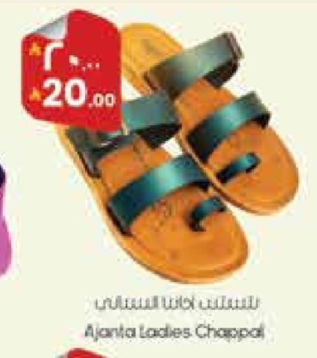 available at City Flower in KSA, Saudi Arabia, Saudi - Hail