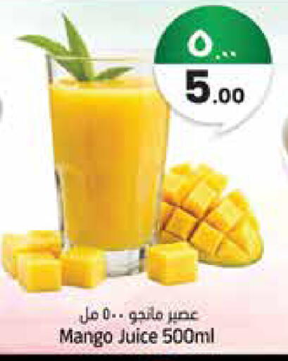 Mango available at ستي فلاور in مملكة العربية السعودية, السعودية, سعودية - سكاكا