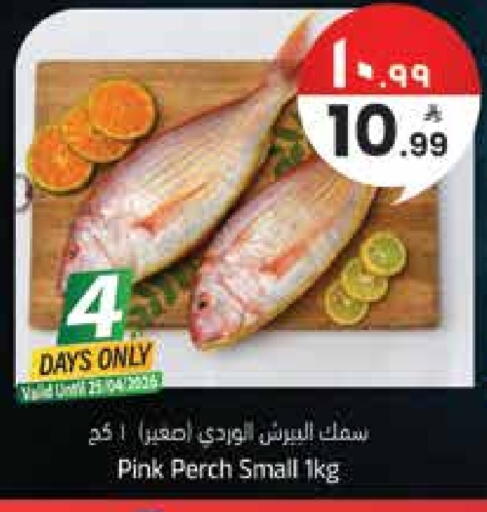 available at ستي فلاور in مملكة العربية السعودية, السعودية, سعودية - حائل‎