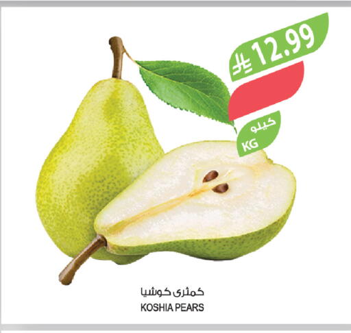 available at المزرعة in مملكة العربية السعودية, السعودية, سعودية - عرعر