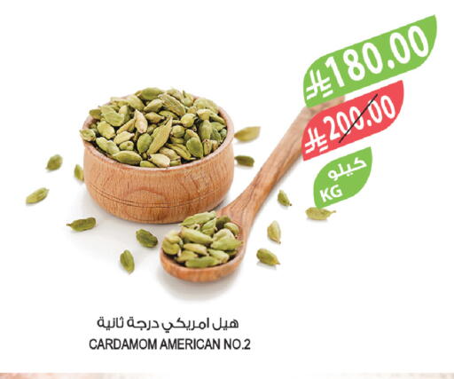 Cardamom available at المزرعة in مملكة العربية السعودية, السعودية, سعودية - أبها
