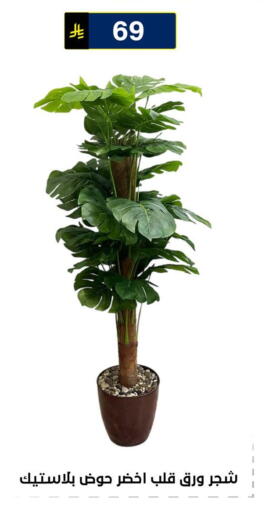 available at الحسين توب أب in مملكة العربية السعودية, السعودية, سعودية - الرياض