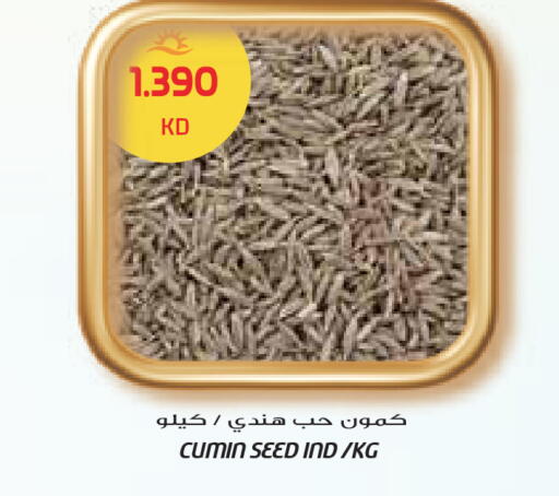 Cumin available at جراند هايبر in الكويت - محافظة الجهراء