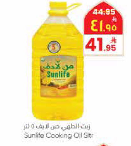 available at ستي فلاور in مملكة العربية السعودية, السعودية, سعودية - نجران