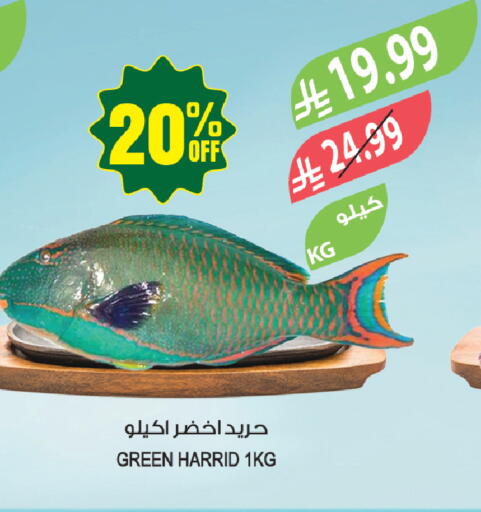 available at Farm  in KSA, Saudi Arabia, Saudi - Sakaka