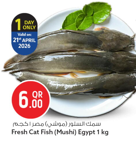 available at Safari Hypermarket in Qatar - Al-Shahaniya