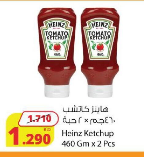 Tomato available at شركة المنتجات الزراعية الغذائية in الكويت - محافظة الجهراء