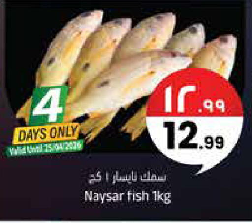 available at ستي فلاور in مملكة العربية السعودية, السعودية, سعودية - سكاكا