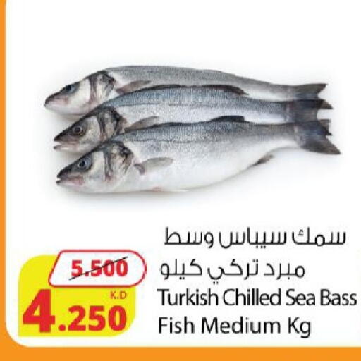 available at شركة المنتجات الزراعية الغذائية in الكويت - محافظة الجهراء