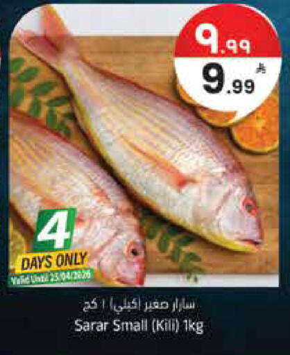available at ستي فلاور in مملكة العربية السعودية, السعودية, سعودية - الرياض