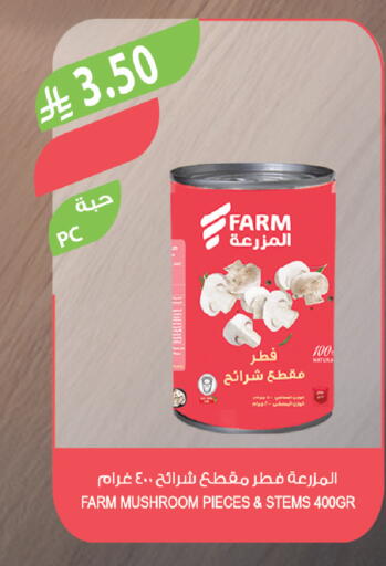 Mushroom available at المزرعة in مملكة العربية السعودية, السعودية, سعودية - المنطقة الشرقية