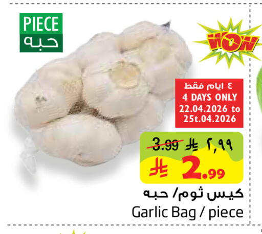 Garlic available at Layan Hyper in KSA, Saudi Arabia, Saudi - Dammam