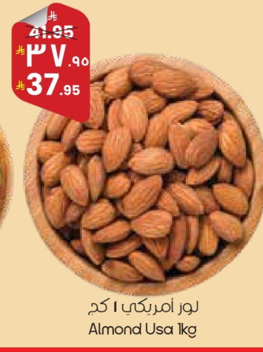 available at ستي فلاور in مملكة العربية السعودية, السعودية, سعودية - بريدة