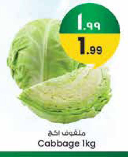 Cabbage available at City Flower in KSA, Saudi Arabia, Saudi - Jubail