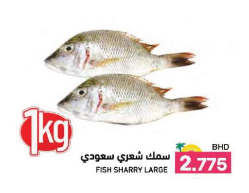 available at رامــز in البحرين