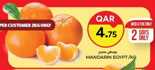 Mandarin from Egypt available at باريس هايبرماركت in قطر - الريان