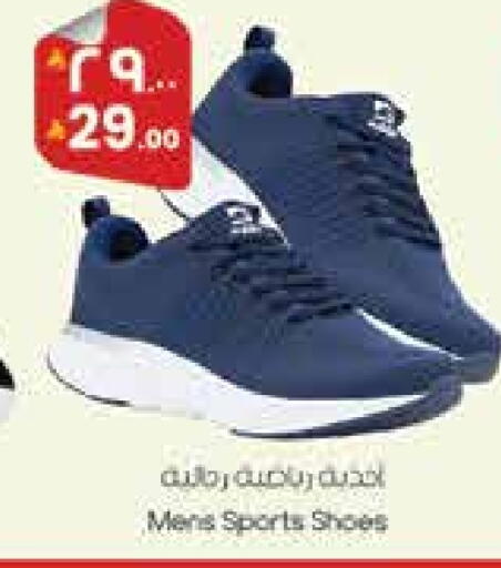 available at City Flower in KSA, Saudi Arabia, Saudi - Hail