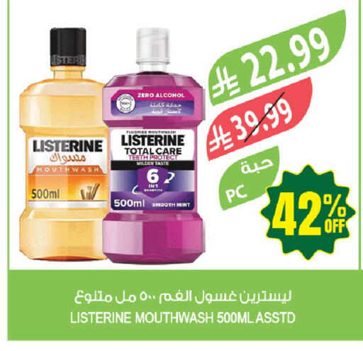 Mint available at المزرعة in مملكة العربية السعودية, السعودية, سعودية - المنطقة الشرقية