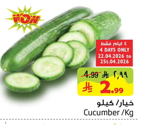 Cucumber available at Layan Hyper in KSA, Saudi Arabia, Saudi - Dammam