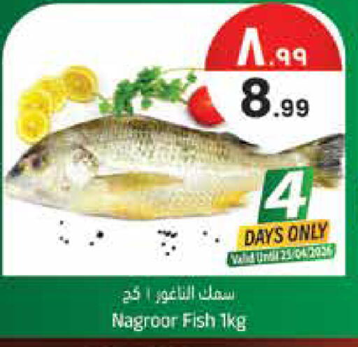 available at City Flower in KSA, Saudi Arabia, Saudi - Jubail