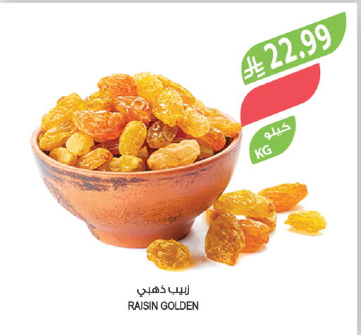 available at المزرعة in مملكة العربية السعودية, السعودية, سعودية - المنطقة الشرقية